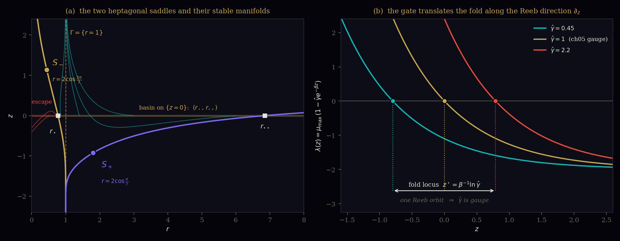 Two panels. Left: phase portrait in (r,z) of the exact dm3 toy model showing the limit cycle at r=1, the two saddle equilibria at r=2cos(3pi/7) and r=2cos(pi/7), their stable manifolds, and the basin interval on z=0 between r*=0.776 and r**=6.859. Right: the transverse eigenvalue lambda(z) for three gate strengths, showing the fold locus sliding along z as beta^-1 ln gamma-hat.